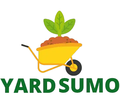 Yard Sumo
