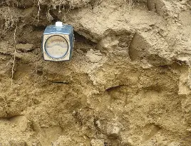 Testing soil PH