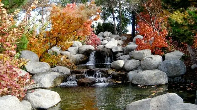 water feature landscape