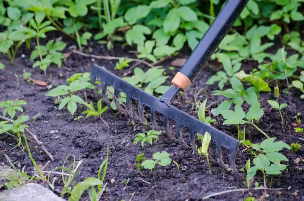 Gardening Rake