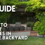 A Guide on How To Plant Grapes In Your Backyard Thumbnail