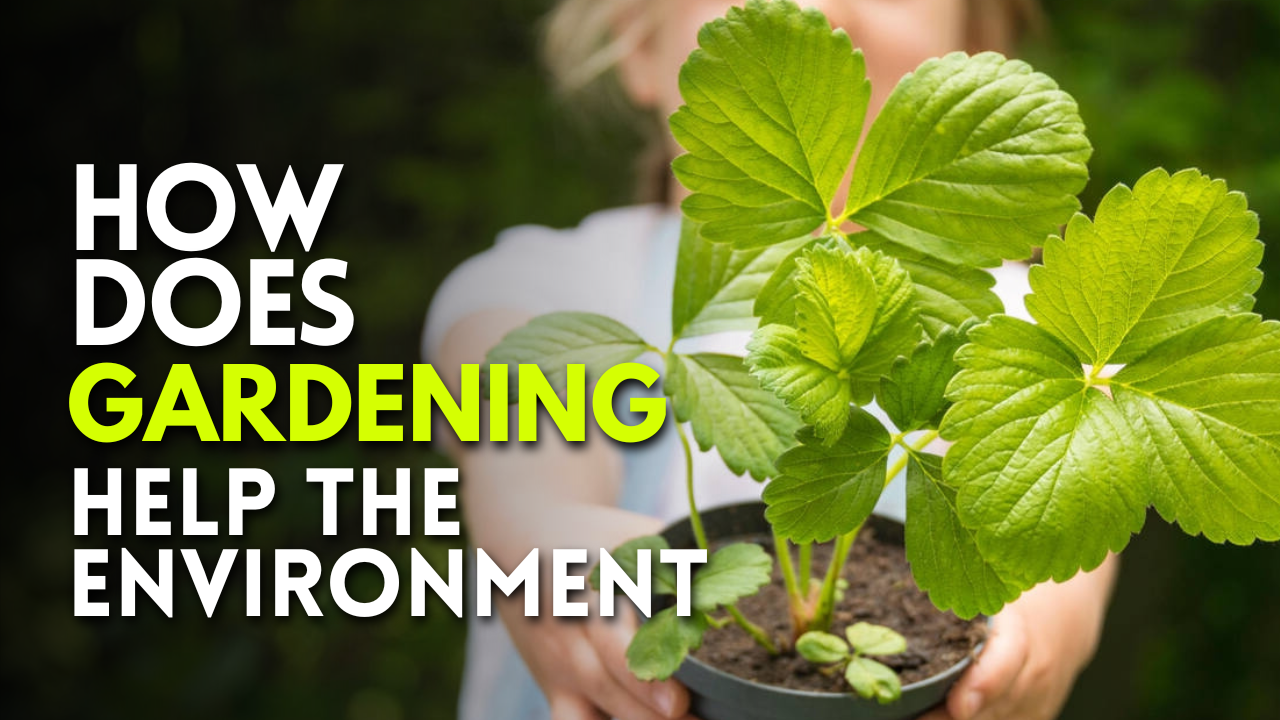 How Does Gardening Help The Environment Thumbnail