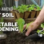 How To Amend Clay Soil For Vegetable Gardening - Explained Thumbnail