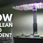 How To Clean Aero Garden Thumbnail