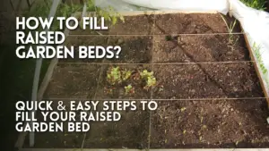 How To Fill Raised Garden Beds 6 Quick & Easy Steps to Fill Your Raised Garden Bed Thumbnail