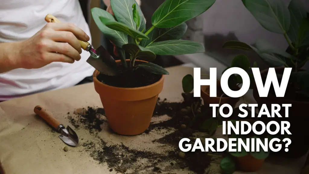 How To Start Indoor Gardening Thumbnail