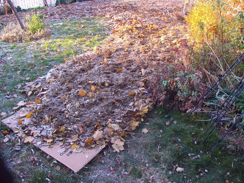 Lasagna Gardening