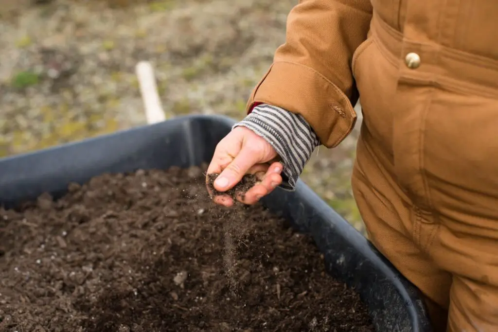 garden soil