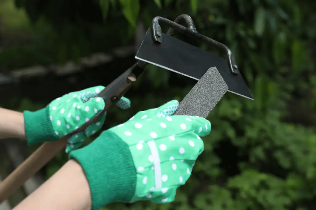 Sharpening a garden tool