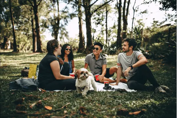 Backyard picnic