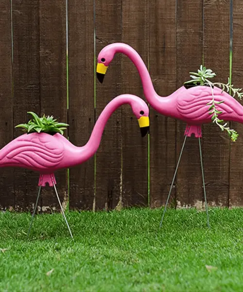What Does a Pink Flamingo in Your Front Yard Mean?