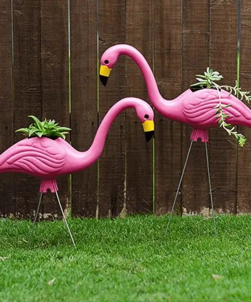 What Does A Pink Flamingo In Your Front Yard Mean Yard Sumo