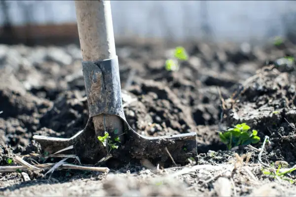 how to level your backyard