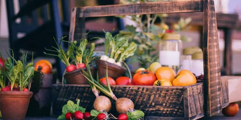 vegetables in a basket